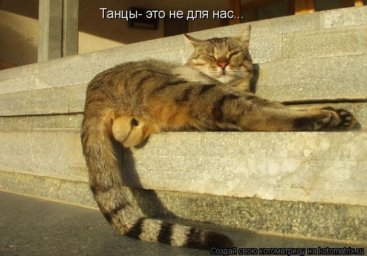 Танцы- это не для нас...... Котоматрица: Танцы- это не для нас...