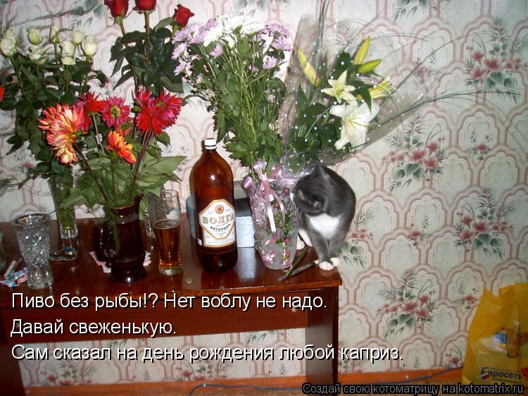 Пиво без рыбы!? Нет воблу не надо. Давай свеженькую. Сам сказал на день рождения любой каприз.... Котоматрица: Пиво без рыбы!? Нет воблу не надо. Давай свеженькую. Сам сказал на день рождения любой каприз.