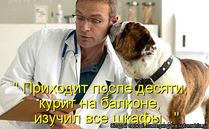 " Приходит после десяти, изучил все шкафы..." курит на балконе,... Котоматрица: " Приходит после десяти, изучил все шкафы..." курит на балконе,