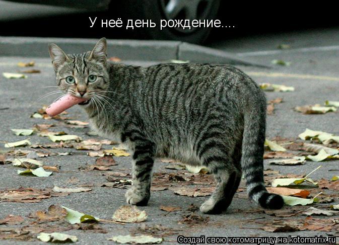 У неё день рождение....... Котоматрица: У неё день рождение....