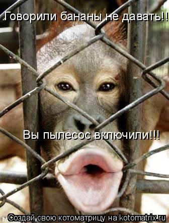 Говорили бананы не давать!! Вы пылесос включили!!!... Котоматрица: Говорили бананы не давать!! Вы пылесос включили!!!
