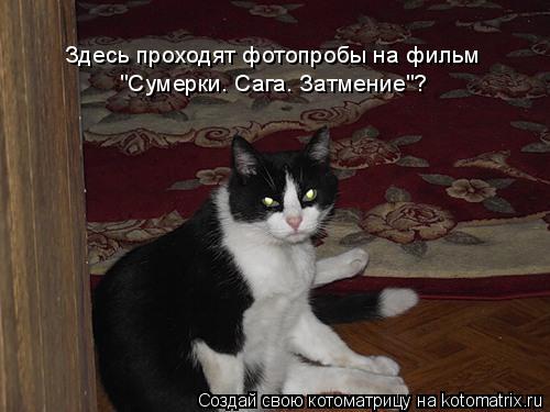 Здесь проходят фотопробы на фильм "Сумерки. Сага. Затмение"?... Котоматрица: Здесь проходят фотопробы на фильм "Сумерки. Сага. Затмение"?