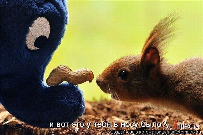 Котоматрица: и вот это у тебя в носу было?