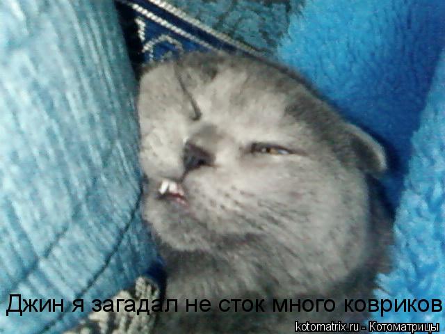 Джин я загадал не сток много ковриков... Котоматрица: Джин я загадал не сток много ковриков
