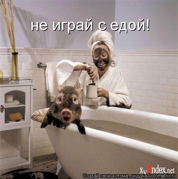 не играй с едой!... Котоматрица: не играй с едой!