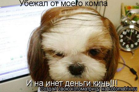 Убежал от моего компа И на инет деньги кинь!!!... Котоматрица: Убежал от моего компа И на инет деньги кинь!!!