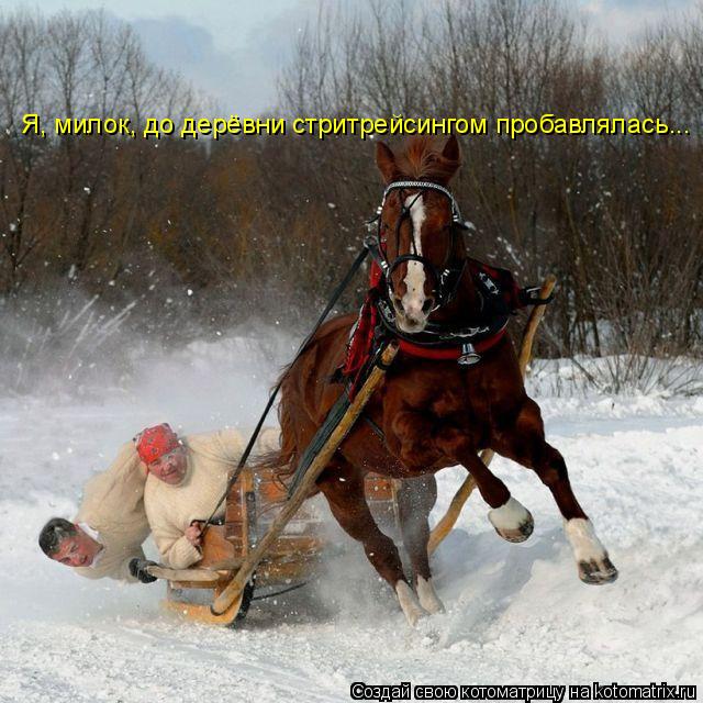 Я, милок, до дерёвни стритрейсингом пробавлялась...... Котоматрица: Я, милок, до дерёвни стритрейсингом пробавлялась...