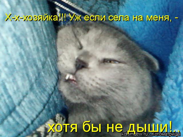 Х-х-хозяйка!!! Уж если села на меня, - хотя бы не дыши!..... Котоматрица: Х-х-хозяйка!!! Уж если села на меня, - хотя бы не дыши!..