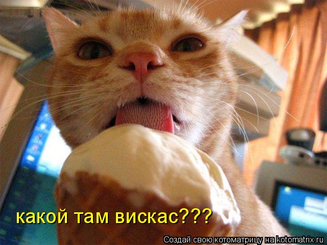 какой там вискас???... Котоматрица: какой там вискас???