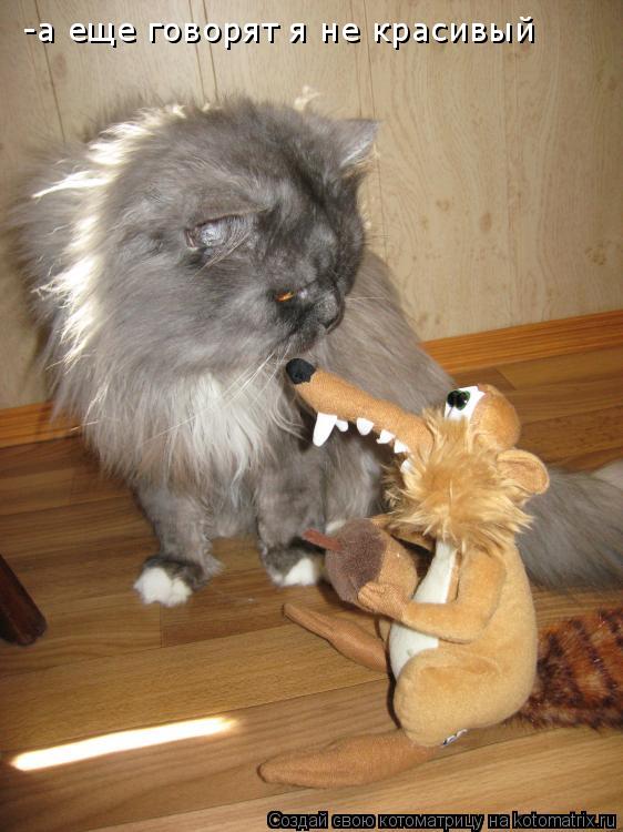 -а еще говорят я не красивый... Котоматрица: -а еще говорят я не красивый
