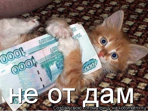 не от дам... Котоматрица: не от дам