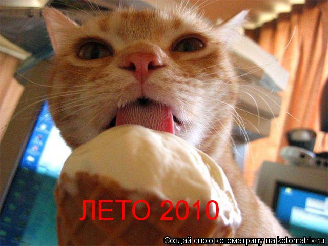 ЛЕТО 2010... Котоматрица: ЛЕТО 2010