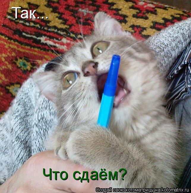 Так... Что сдаём?... Котоматрица: Так... Что сдаём?