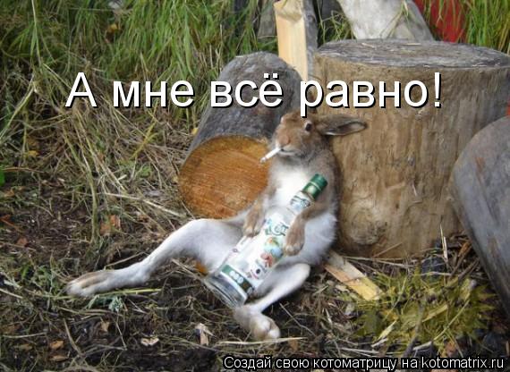 А мне всё равно!... Котоматрица: А мне всё равно!
