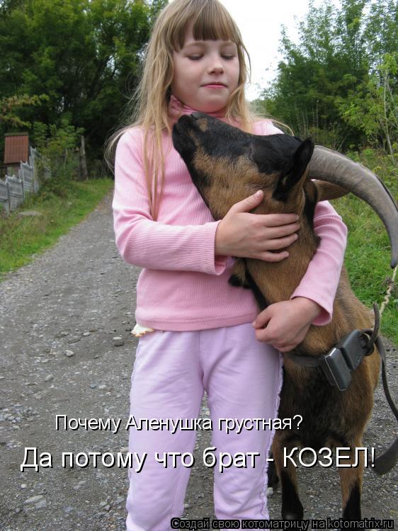 Почему Аленушка грустная? Да потому что брат - КОЗЕЛ!... Котоматрица: Почему Аленушка грустная? Да потому что брат - КОЗЕЛ!