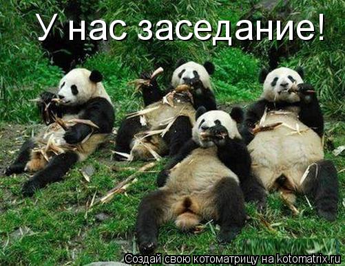 У нас заседание!... Котоматрица: У нас заседание!