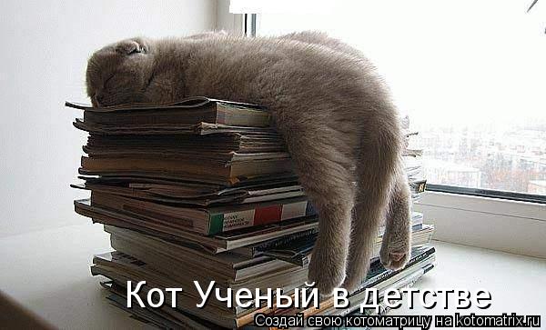 Кот Ученый в детстве... Котоматрица: Кот Ученый в детстве