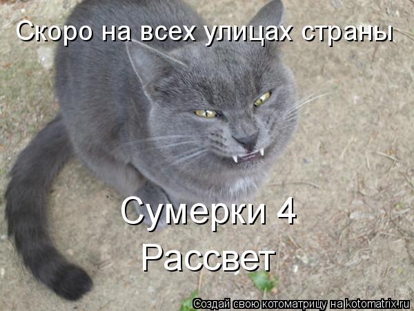 Сумерки 4 Рассвет Скоро на всех улицах страны... Котоматрица: Сумерки 4 Рассвет Скоро на всех улицах страны
