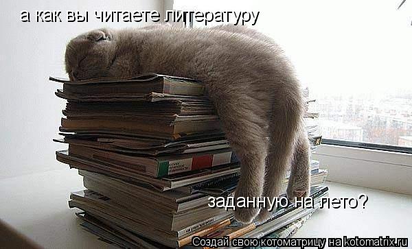 а как вы читаете литературу заданную на лето?... Котоматрица: а как вы читаете литературу заданную на лето?