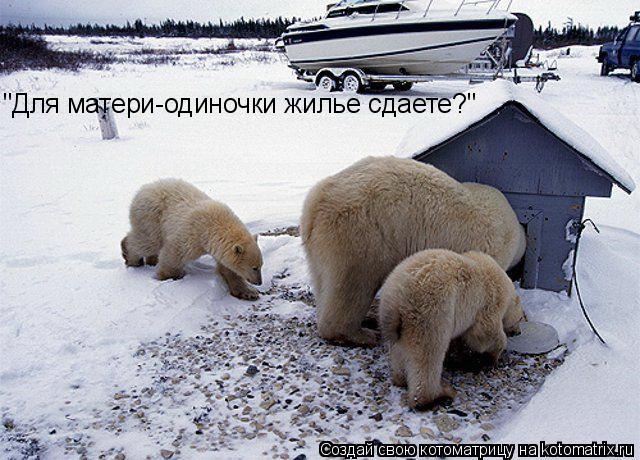 "Для матери-одиночки жилье сдаете?"... Котоматрица: "Для матери-одиночки жилье сдаете?"