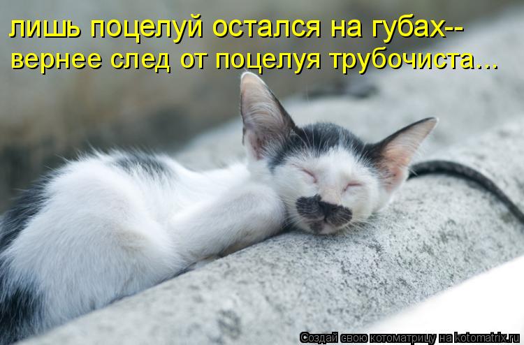 лишь поцелуй остался на губах-- вернее след от поцелуя трубочиста...... Котоматрица: лишь поцелуй остался на губах-- вернее след от поцелуя трубочиста...