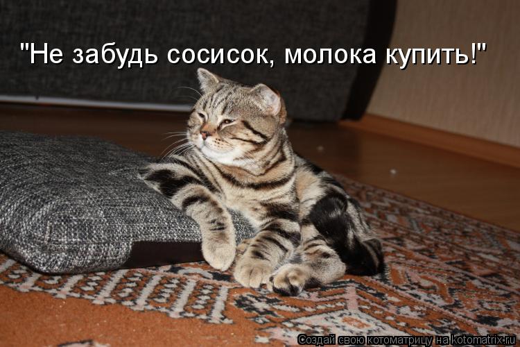 "Не забудь сосисок, молока купить!"... Котоматрица: "Не забудь сосисок, молока купить!"