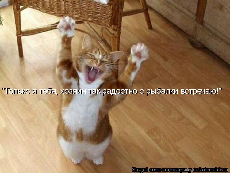 "Только я тебя, хозяин так радостно с рыбалки встречаю!"... Котоматрица: "Только я тебя, хозяин так радостно с рыбалки встречаю!"