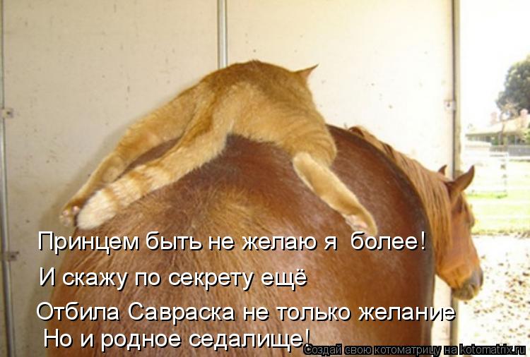 Принцем быть не желаю я более! И скажу по секрету ещё Отбила Савраска не только желание Но и родное... Котоматрица: Принцем быть не желаю я более! И скажу по секрету ещё Отбила Савраска не только желание Но и родное седалище!