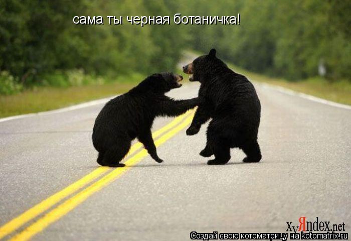 сама ты черная ботаничка!... Котоматрица: сама ты черная ботаничка!