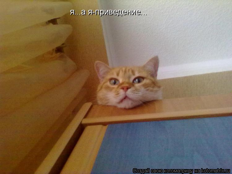 я...а я-приведение...... Котоматрица: я...а я-приведение...
