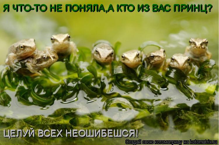 Я ЧТО-ТО НЕ ПОНЯЛА,А КТО ИЗ ВАС ПРИНЦ? Я ЧТО-ТО НЕ ПОНЯЛА,А КТО ИЗ ВАС ПРИНЦ? ЦЕЛУЙ ВСЕХ НЕОШИБЕШСЯ! ... Котоматрица: Я ЧТО-ТО НЕ ПОНЯЛА,А КТО ИЗ ВАС ПРИНЦ? Я ЧТО-ТО НЕ ПОНЯЛА,А КТО ИЗ ВАС ПРИНЦ? ЦЕЛУЙ ВСЕХ НЕОШИБЕШСЯ! ЦЕЛУЙ ВСЕХ НЕОШИБЕШСЯ!