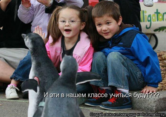 И эти в нашем классе учиться будут???... Котоматрица: И эти в нашем классе учиться будут???