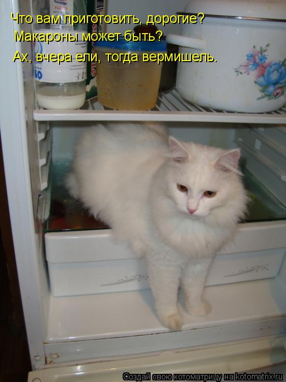 Что вам приготовить, дорогие? Макароны может быть? Ах, вчера ели, тогда вермишель.... Котоматрица: Что вам приготовить, дорогие? Макароны может быть? Ах, вчера ели, тогда вермишель.