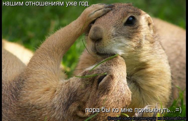 нашим отношениям уже год... пора бы ко мне привыкнуть...=)... Котоматрица: нашим отношениям уже год... пора бы ко мне привыкнуть...=)