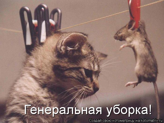 Генеральная уборка!... Котоматрица: Генеральная уборка!