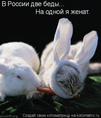 В России две беды... На одной я женат…... Котоматрица: В России две беды... На одной я женат…