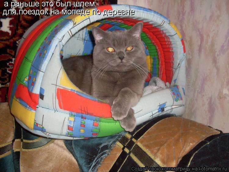 а раньше это был шлем для поездок на мопеде по деревне... Котоматрица: а раньше это был шлем для поездок на мопеде по деревне