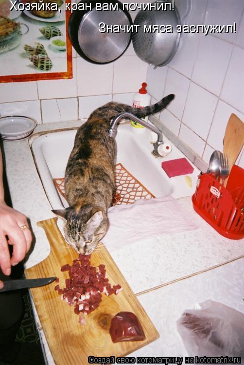 Хозяйка, кран вам починил! Значит мяса заслужил!... Котоматрица: Хозяйка, кран вам починил! Значит мяса заслужил!