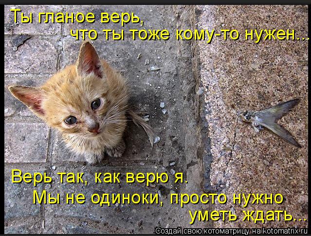 Ты гланое верь, что ты тоже кому-то нужен... Верь так, как верю я. Мы не одиноки, просто нужно умет... Котоматрица: Ты гланое верь, что ты тоже кому-то нужен... Верь так, как верю я. Мы не одиноки, просто нужно уметь ждать...
