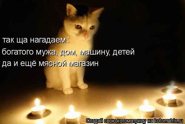 так ща нагадаем : богатого мужа, дом, машину, детей да и ещё мясной магазин... Котоматрица: так ща нагадаем : богатого мужа, дом, машину, детей да и ещё мясной магазин