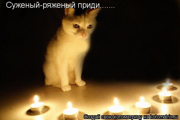 Суженый-ряженый приди.......... Котоматрица: Суженый-ряженый приди.......