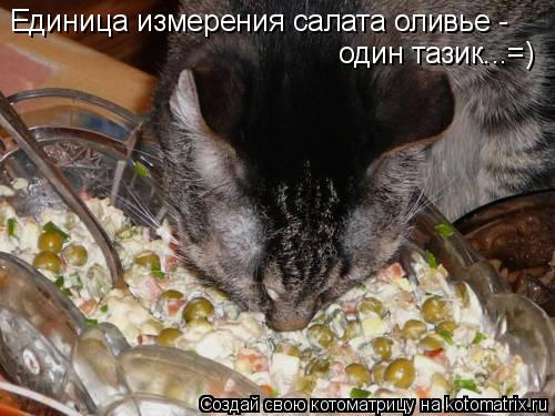 Котоматрица: Единица измерения салата оливье -  один тазик...=)