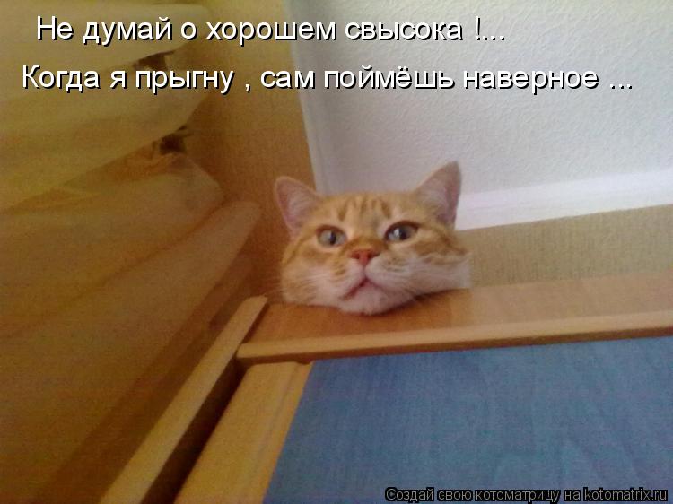 Котоматрица: Не думай о хорошем свысока !... Когда я прыгну , сам поймёшь наверное ...