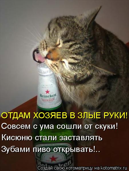 ОТДАМ ХОЗЯЕВ В ЗЛЫЕ РУКИ! Совсем с ума сошли от скуки! Кисюню стали заставлять Зубами пиво открывать!... Котоматрица: ОТДАМ ХОЗЯЕВ В ЗЛЫЕ РУКИ! Совсем с ума сошли от скуки! Кисюню стали заставлять Зубами пиво открывать!..
