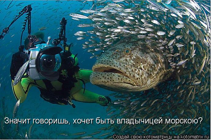 Значит говоришь, хочет быть владычицей морскою?... Котоматрица: Значит говоришь, хочет быть владычицей морскою?