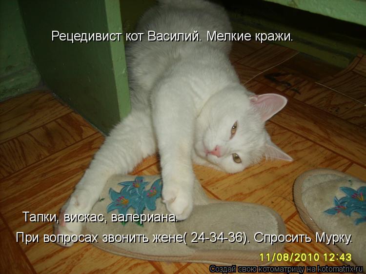 Рецедивист кот Василий. Мелкие кражи. Тапки, вискас, валериана. При вопросах звонить жене( 24-34-36).... Котоматрица: Рецедивист кот Василий. Мелкие кражи. Тапки, вискас, валериана. При вопросах звонить жене( 24-34-36). Спросить Мурку.
