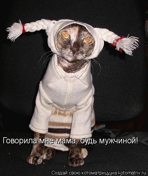 Говорила мне мама, будь мужчиной!... Котоматрица: Говорила мне мама, будь мужчиной!