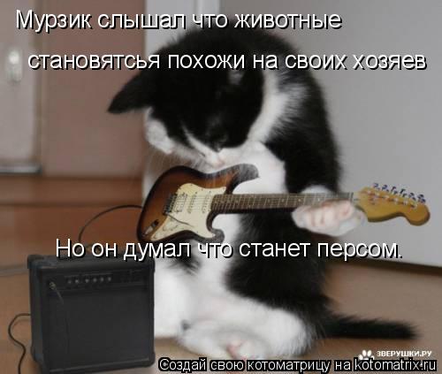 Мурзик слышал что животные становятсья похожи на своих хозяев Но он думал что станет персом.... Котоматрица: Мурзик слышал что животные становятсья похожи на своих хозяев Но он думал что станет персом.