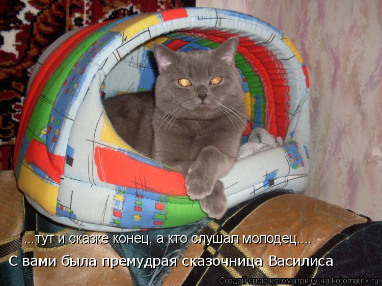 ...тут и сказке конец, а кто слушал молодец.... С вами была премудрая сказочница Василиса... Котоматрица: ...тут и сказке конец, а кто слушал молодец.... С вами была премудрая сказочница Василиса
