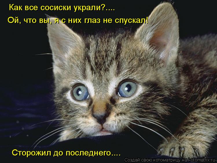 Как все сосиски украли?.... Ой, что вы, я с них глаз не спускал! Сторожил до последнего....... Котоматрица: Как все сосиски украли?.... Ой, что вы, я с них глаз не спускал! Сторожил до последнего....